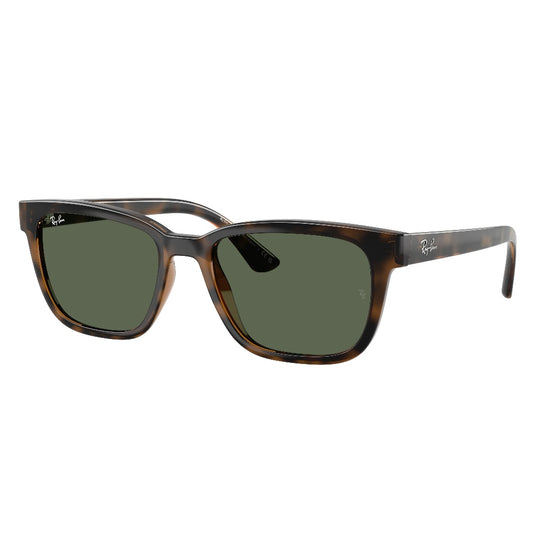 Gafas de sol para Hombre Ray-Ban 4448L 710/71 - inyectadas color Café