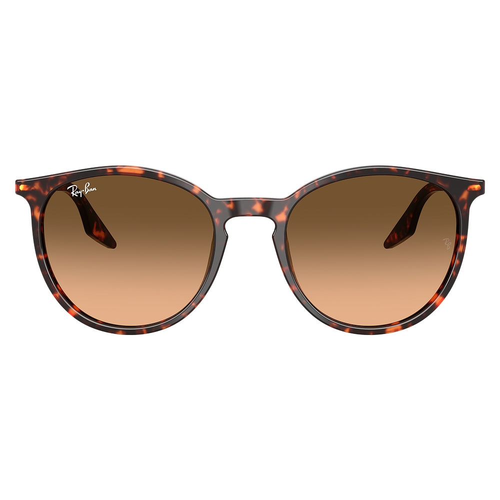 Gafas de Sol para Hombre Ray-Ban 2204 14293B - en acetato color Rojo
