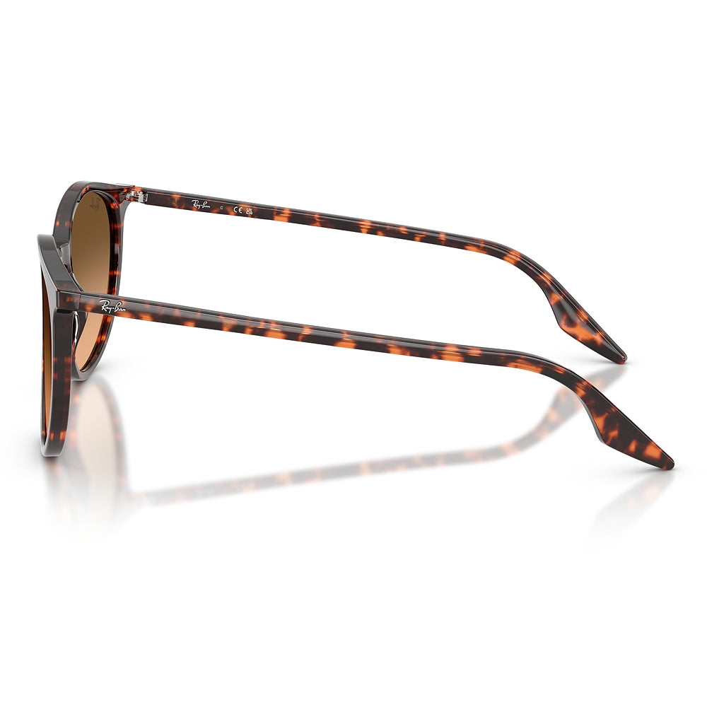 Gafas de Sol para Hombre Ray-Ban 2204 14293B - en acetato color Rojo