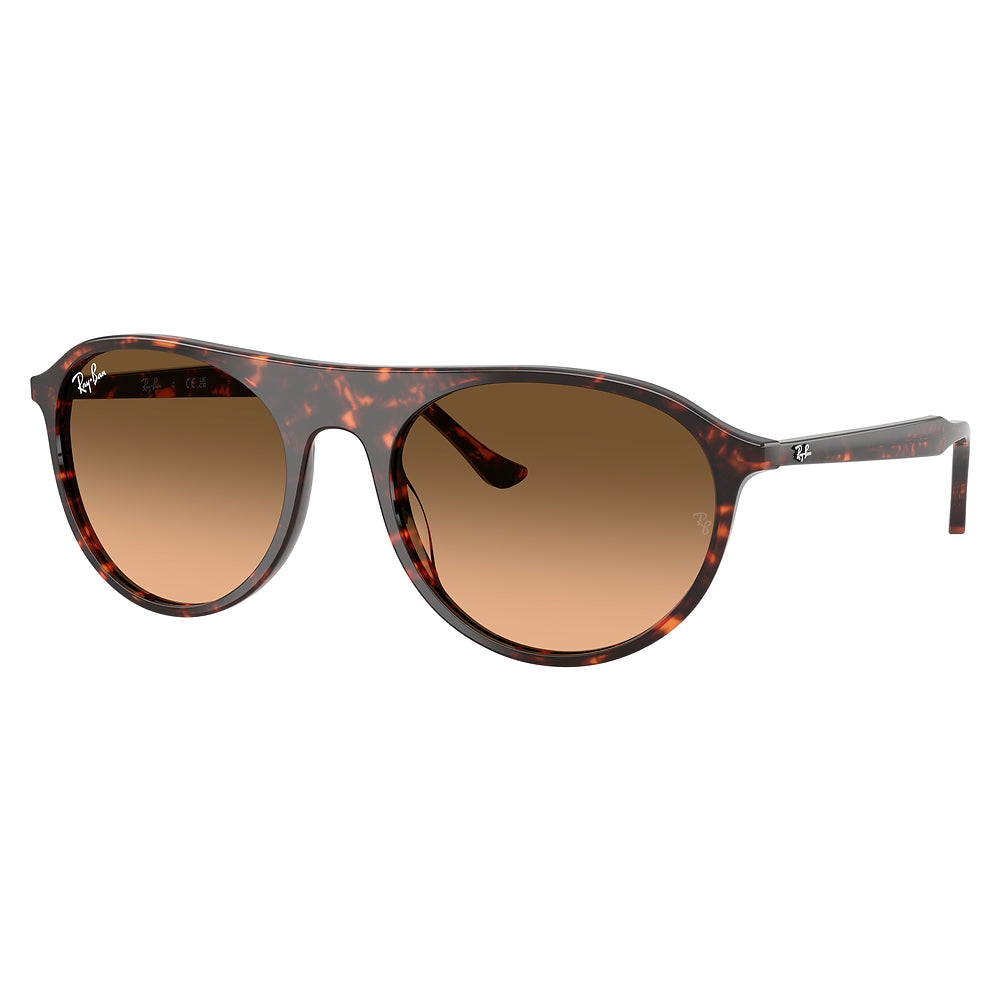 Gafas de Sol para Hombre Ray-Ban 2215 14293B - en acetato color Rojo