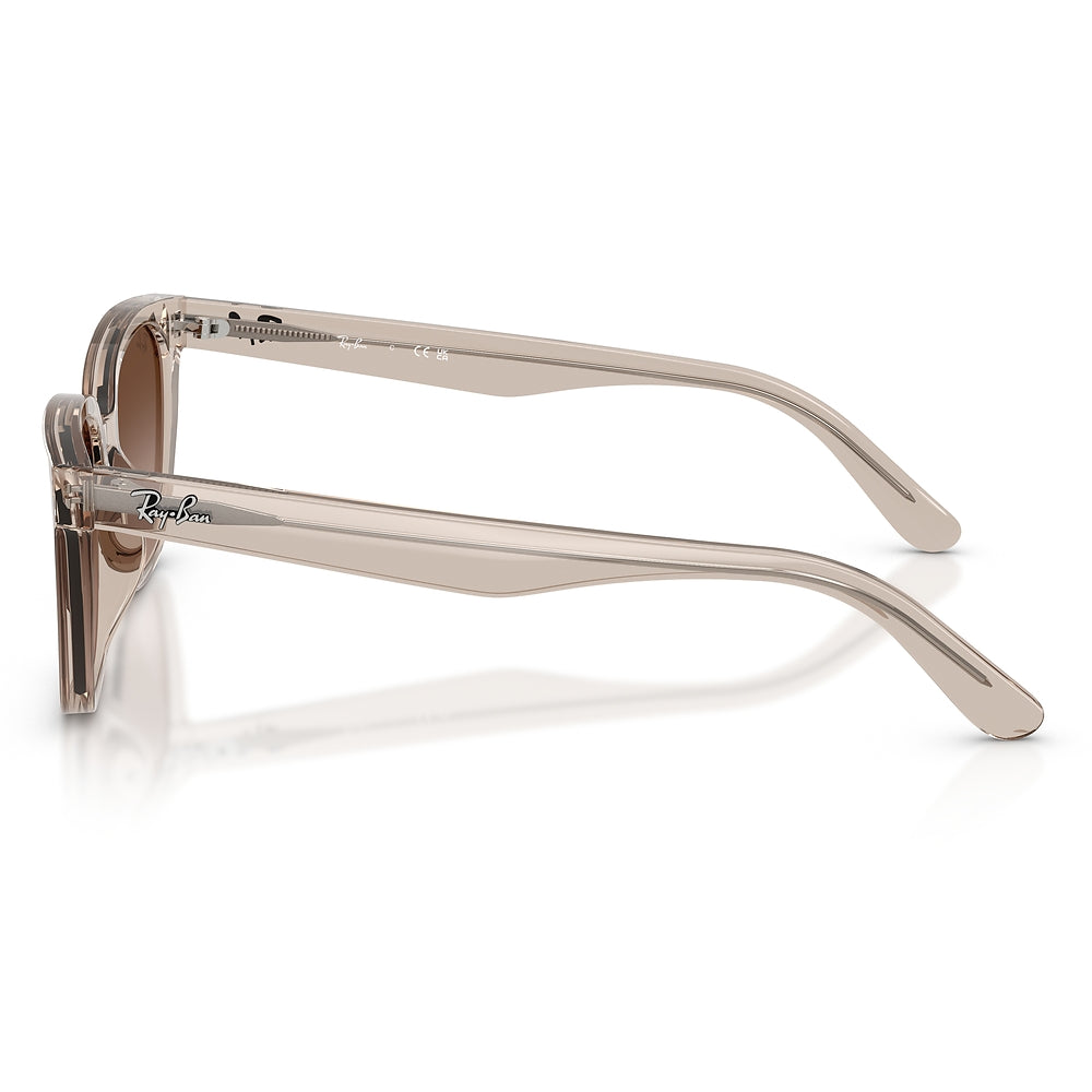 Gafas de Sol para Unisex Ray-Ban 2243D 682713 - Acetato color Café