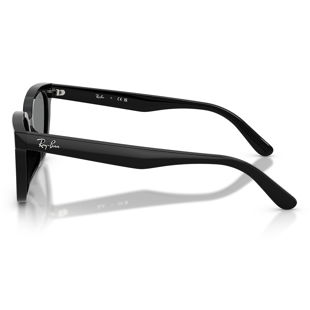 Gafas de Sol para Unisex Ray-Ban 2243D 901/87 - Acetato color Negro