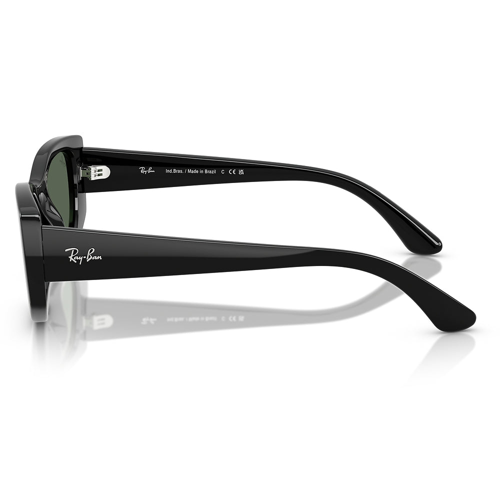 Gafas de Sol para Hombre Ray-Ban 4446L 667771 - inyectadas color Negro