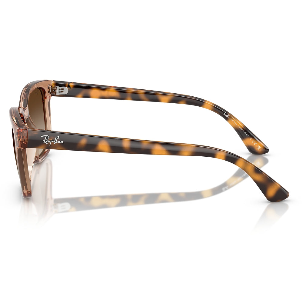 Gafas de Sol para Hombre Ray-Ban 4448L 679913 - inyectadas color Café