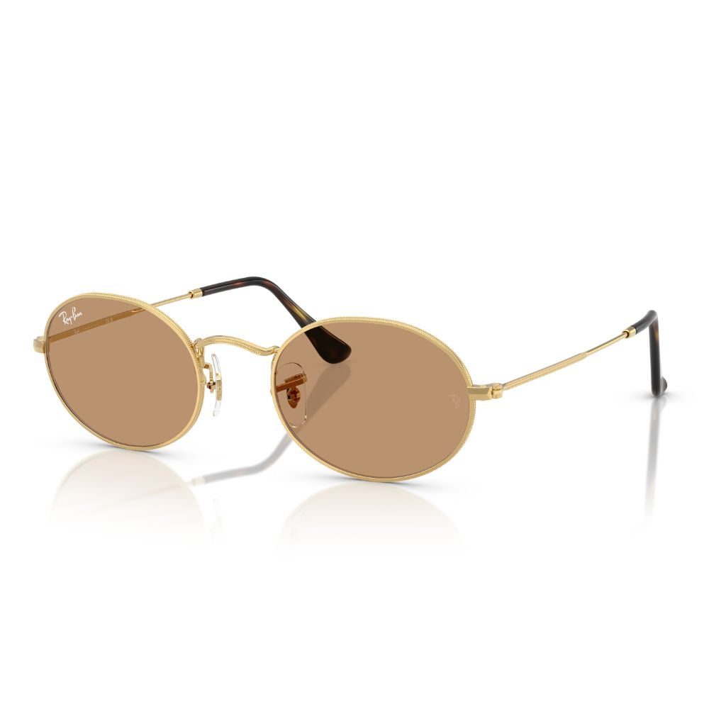 Gafas de sol Ray-Ban redondas con montura dorada
