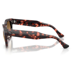 Gafas de Sol para Hombre Ray-Ban 0298S Mega Hawkeye 133451 - en acetato color Café