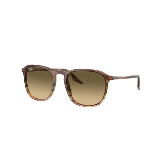 Gafas de Sol para Hombre Ray-Ban 2203 13920A - En Acetato color Café