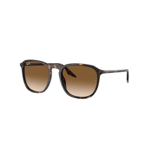 Gafas de Sol para Hombre Ray-Ban 2203 902/51 - En Acetato color Café