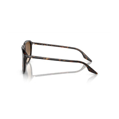 Gafas de Sol para Hombre Ray-Ban 2203 902/51 - En Acetato color Café