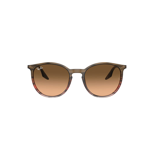 Gafas de Sol para Hombre Ray-Ban 2204 13953B - En Acetato color Café