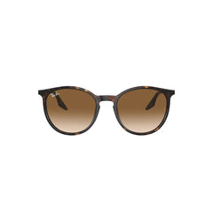 Gafas de Sol para Hombre Ray-Ban 2204 902/51 - En Acetato color Café