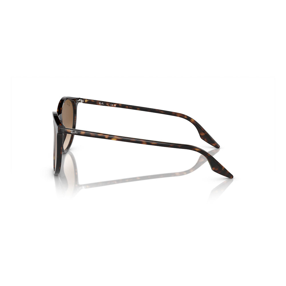 gafas-de-sol-para-hombre-ray-ban-2204-902-51-en-acetato-color-cafe