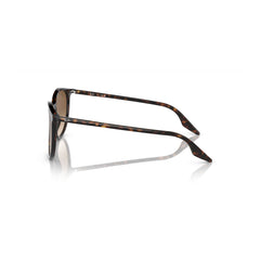 Gafas de Sol para Hombre Ray-Ban 2204 902/51 - En Acetato color Café