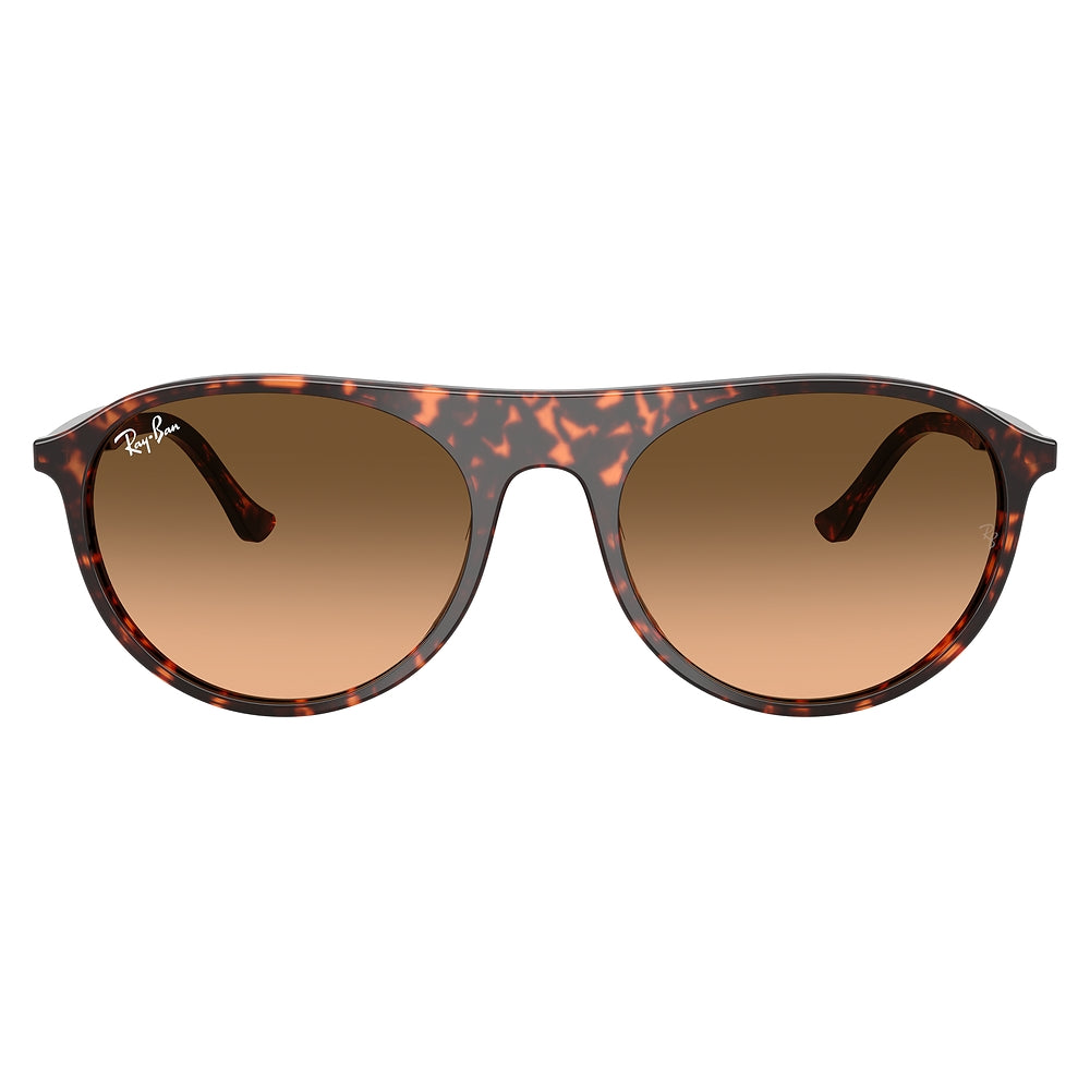 Gafas de Sol para Hombre Ray-Ban 2215 14293B - en acetato color Rojo