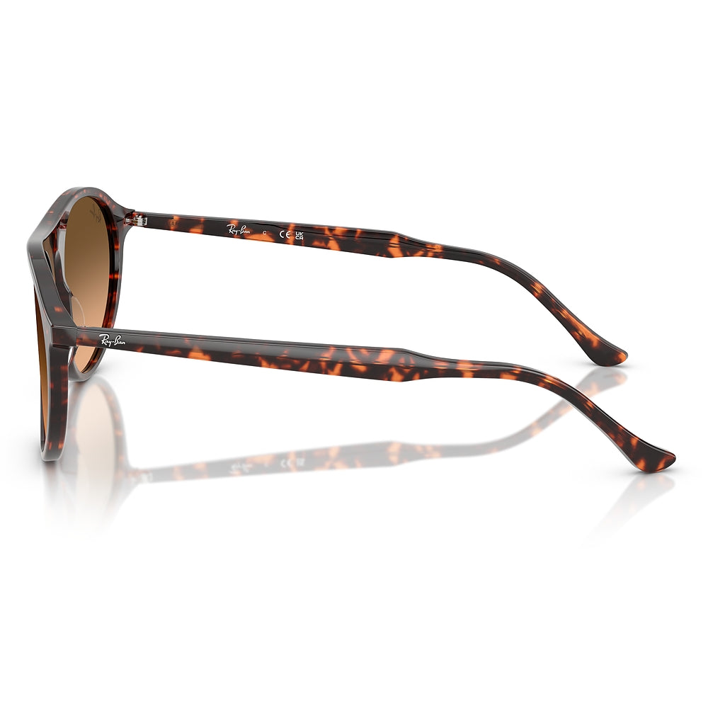 Gafas de Sol para Hombre Ray-Ban 2215 14293B - en acetato color Rojo