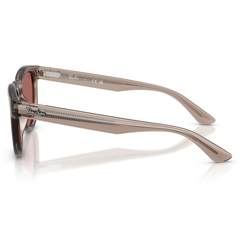 Gafas de Sol para Unisex Ray-Ban 2237 682769 - Acetato color Café