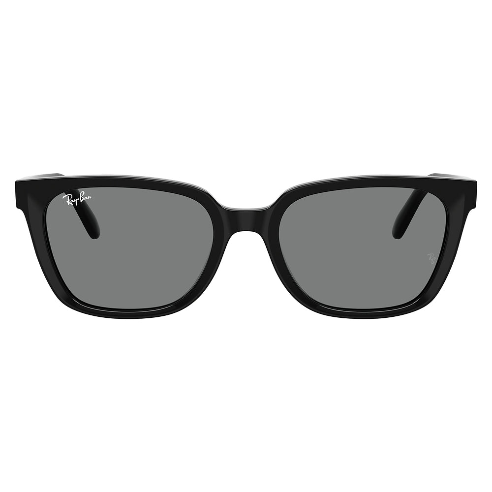 Gafas de Sol para Unisex Ray-Ban 2243D 901/87 - Acetato color Negro