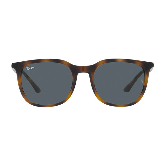 Gafas de Sol para Hombre y Mujer Ray-Ban 4386 - Inyectado color Havana