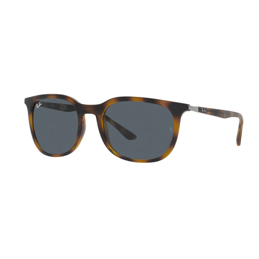 Gafas de Sol para Hombre y Mujer Ray-Ban 4386 - Inyectado color Havana