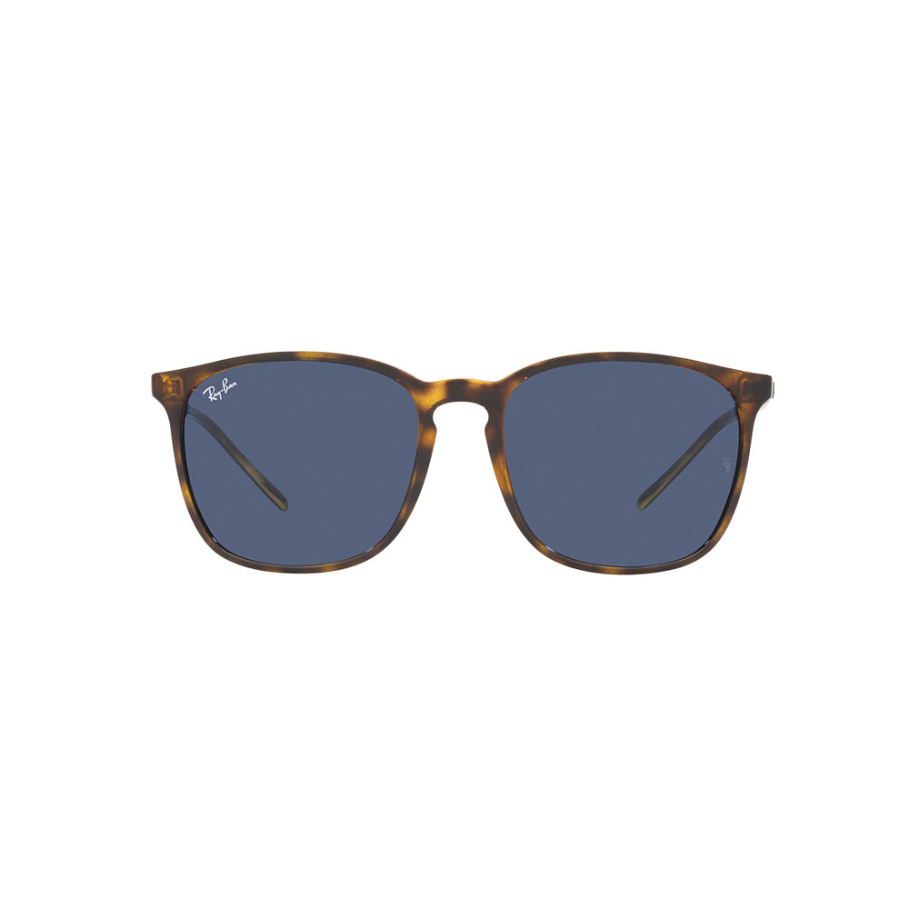 gafas-de-sol-para-hombre-ray-ban-4387-710-80-en-nylon-color-cafe