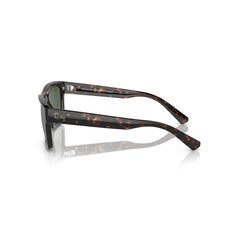 Gafas de Sol para Hombre Ray-Ban 4396 Warren 135971 - En Acetato color Café