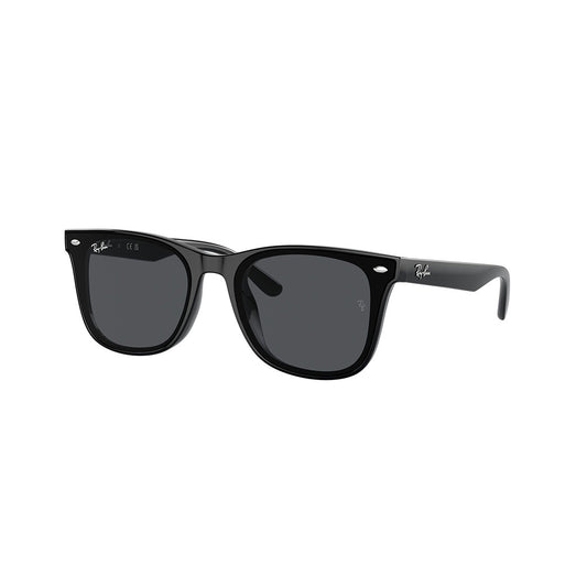 Gafas de Sol para Hombre Ray-Ban 4420 601/87 - Inyectadas color Negro