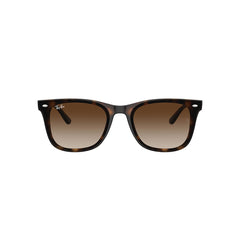 Gafas de Sol para Hombre Ray-Ban 4420 710/13 - Inyectadas color Café