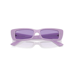 Gafas de Sol para Hombre Ray-Ban 4425 Teru 67581A - Inyectadas color Morado