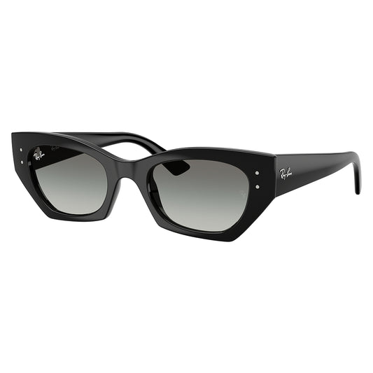Gafas de Sol para Hombre Ray-Ban 4430 Zena 667711 - inyectadas color Negro