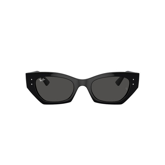 Gafas de Sol para Hombre Ray-Ban 4430 Zena 667787 - Inyectadas color Negro