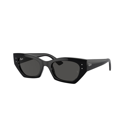 Gafas de Sol para Hombre Ray-Ban 4430 Zena 667787 - Inyectadas color Negro