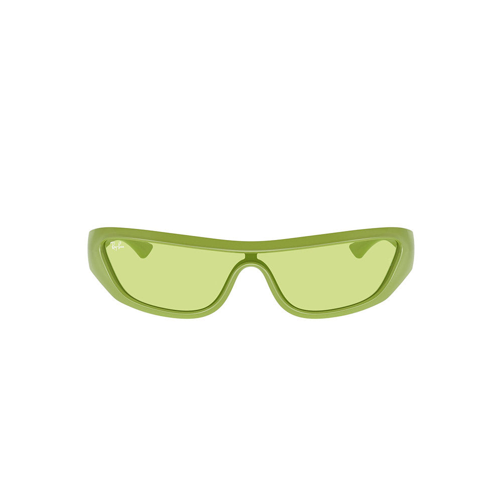 Gafas de Sol para Hombre Ray-Ban 4431 Xan 6763/2 - Inyectadas color Verde