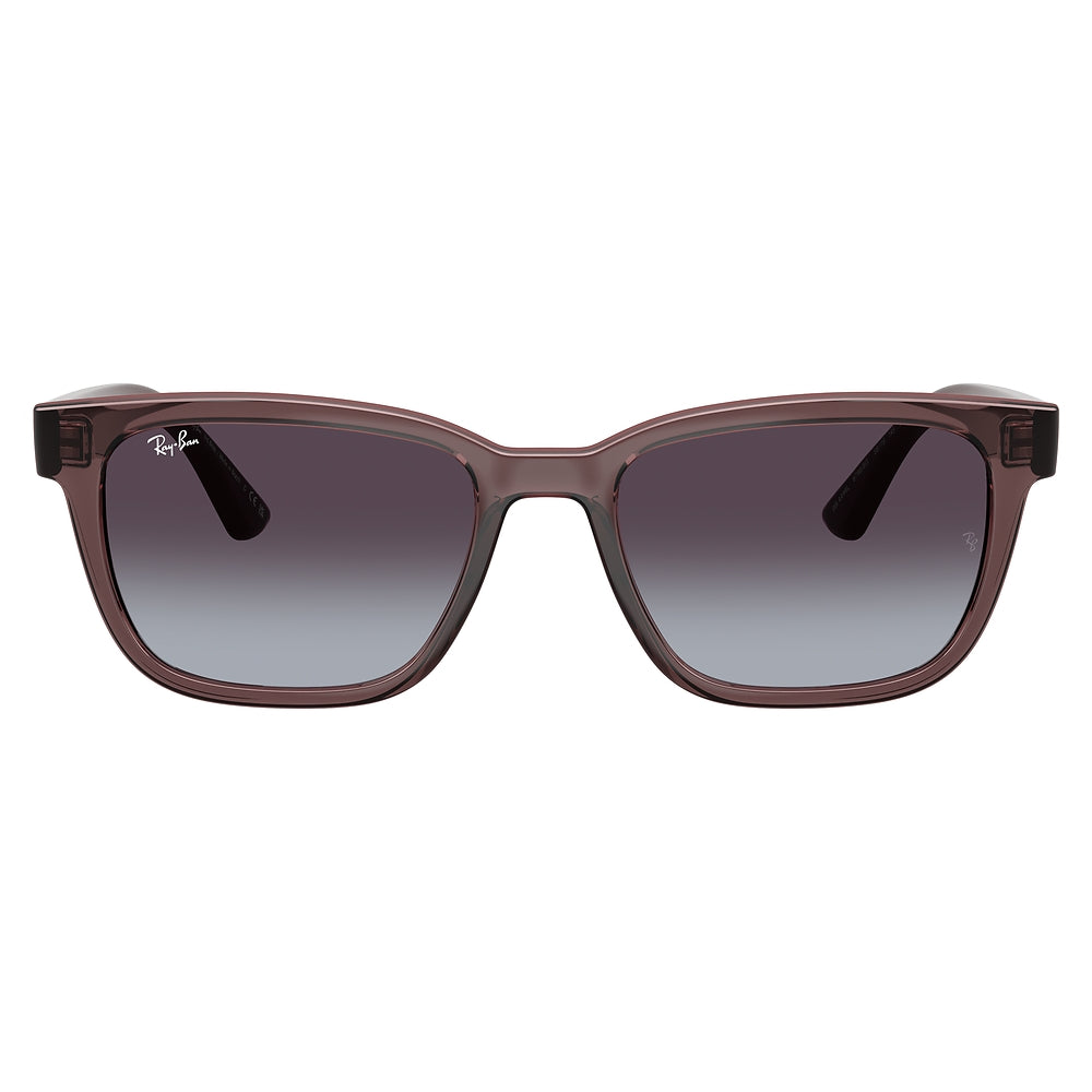Gafas de Sol para Hombre Ray-Ban 4448L 67988G - inyectadas color Café