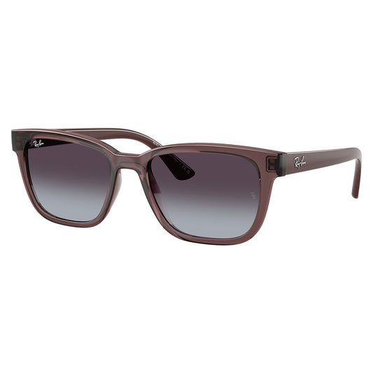Gafas de Sol para Hombre Ray-Ban 4448L 67988G - inyectadas color Café