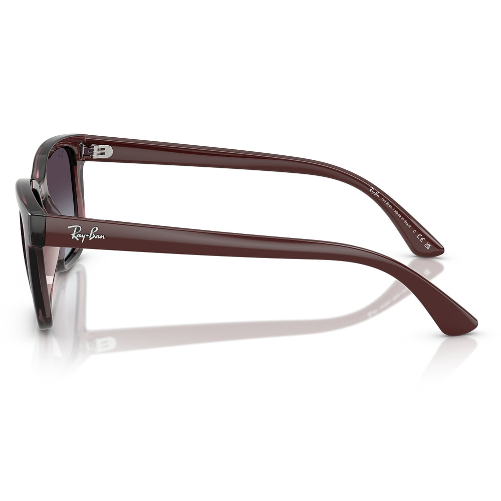 Gafas de Sol para Hombre Ray-Ban 4448L 67988G - inyectadas color Café