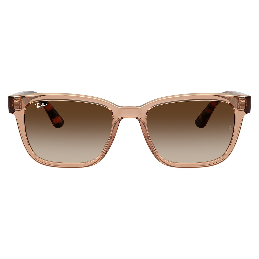 Gafas de Sol para Hombre Ray-Ban 4448L 679913 - inyectadas color Café