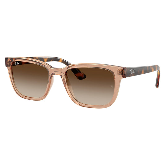 Gafas de Sol para Hombre Ray-Ban 4448L 679913 - inyectadas color Café