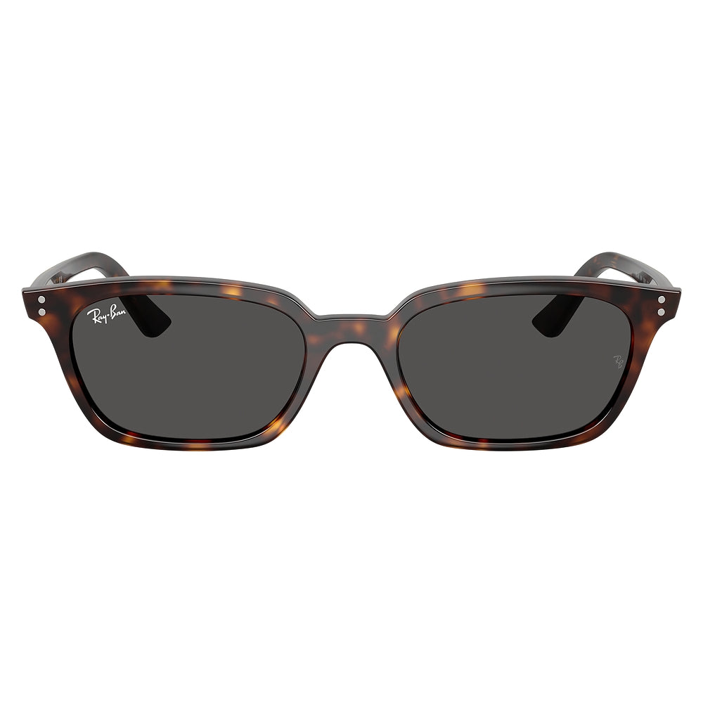 gafas-de-sol-para-hombre-ray-ban-4456-zaya-135987-inyectadas-color-cafe