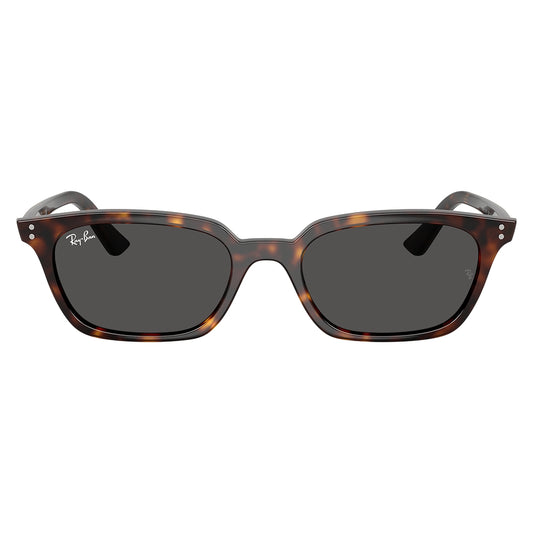 Gafas de Sol para Hombre Ray-Ban 4456 Zaya 135987 - inyectadas color Café