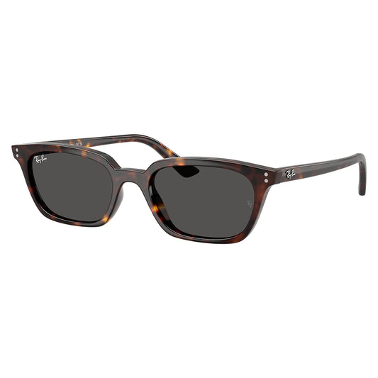 Gafas de Sol para Hombre Ray-Ban 4456 Zaya 135987 - inyectadas color Café