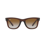 Ray-Ban R0502S Wayfarer Reverse 6709CB