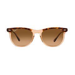 Gafas de Sol para Hombre y Mujer Ray-Ban 2398 - En acetato, Aro completo, de color havana y café, con lente café