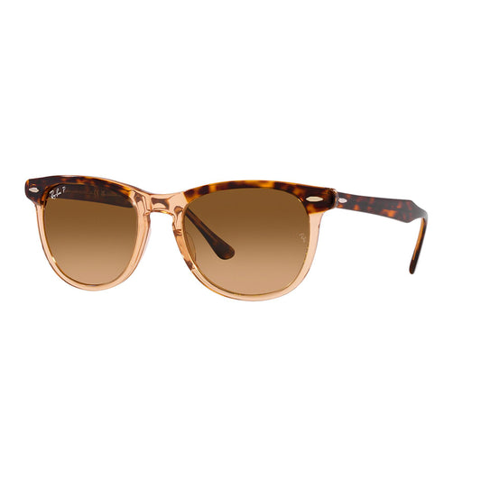 Gafas de Sol para Hombre y Mujer Ray-Ban 2398 - En acetato, Aro completo, de color havana y café, con lente café