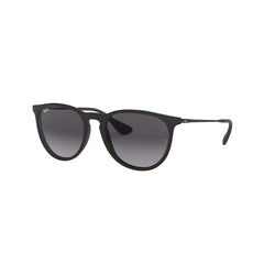 Ray-Ban 4171 Erika