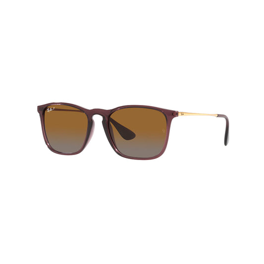 Gafas de Sol para Hombre Ray-Ban 4187 - Inyectadas color Café